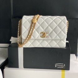 22A Gold Coin Chain Bag