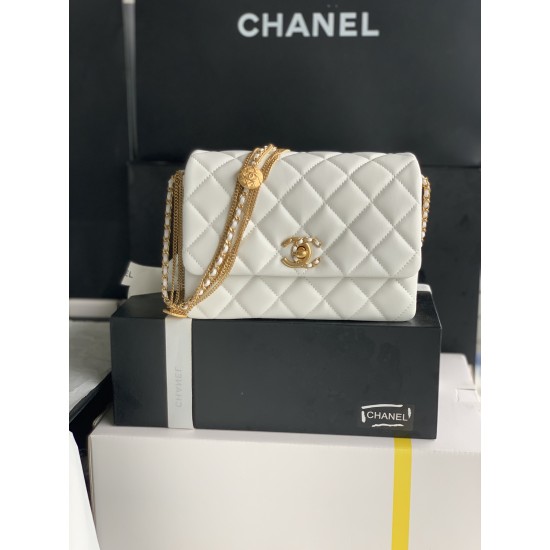22A Gold Coin Chain Bag