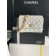 22A Gold Coin Chain Bag