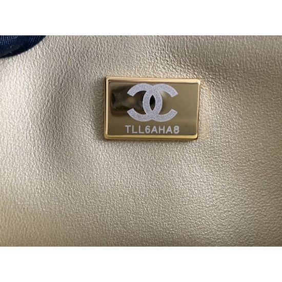 22A Gold Coin Chain Bag