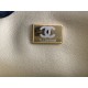 22A Gold Coin Chain Bag