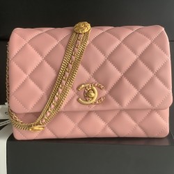22A Gold Coin Chain Bag