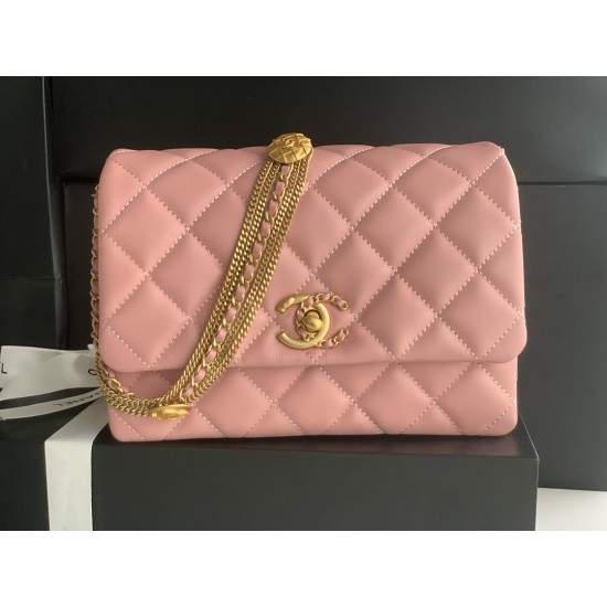 22A Gold Coin Chain Bag