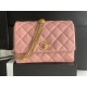 22A Gold Coin Chain Bag