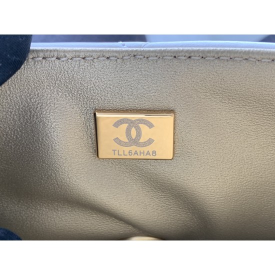 22A Gold Coin Chain Bag