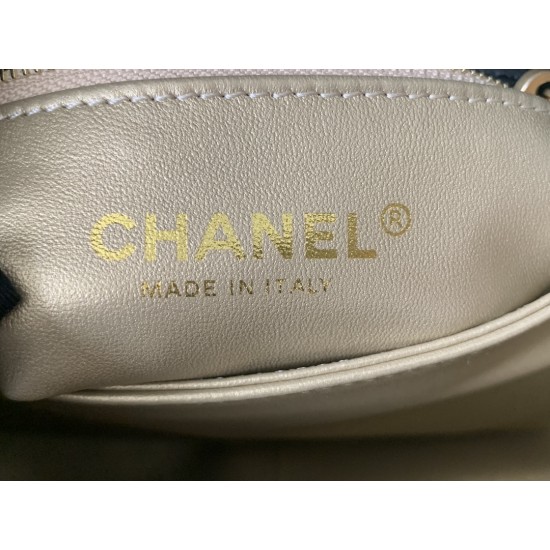 22A Gold Coin Chain Bag