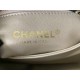 22A Gold Coin Chain Bag