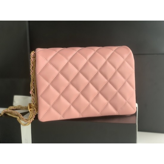 22A Gold Coin Chain Bag