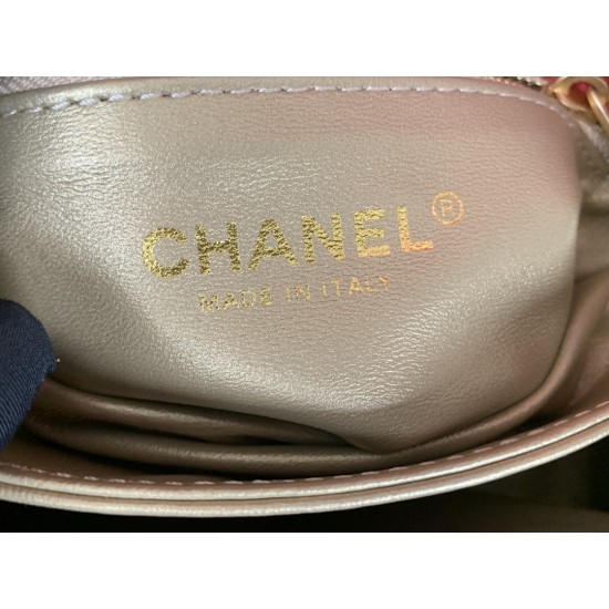 22A Gold Coin Chain Bag