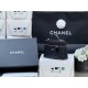  25C Small Logo LP Lunchbox Bag