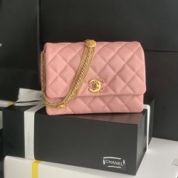 22A Gold Coin Chain Bag