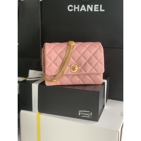 22A Gold Coin Chain Bag