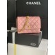 22A Gold Coin Chain Bag