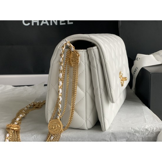 22A Gold Coin Chain Bag