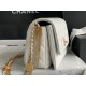 22A Gold Coin Chain Bag