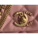 22A Gold Coin Chain Bag