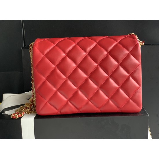 22A Gold Coin Chain Bag