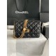 22A Gold Coin Chain Bag