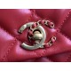 22A Gold Coin Chain Bag