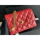 22A Gold Coin Chain Bag