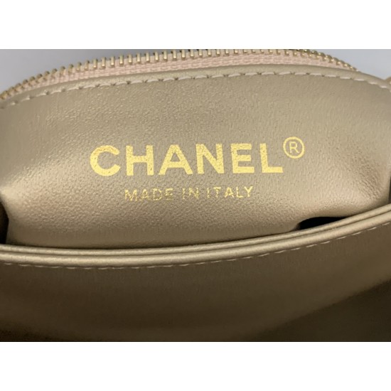 22A Gold Coin Chain Bag