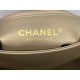 22A Gold Coin Chain Bag