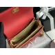 22A Gold Coin Chain Bag
