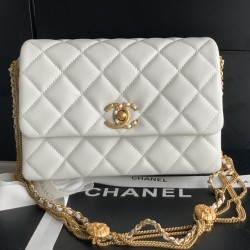 22A Gold Coin Chain Bag
