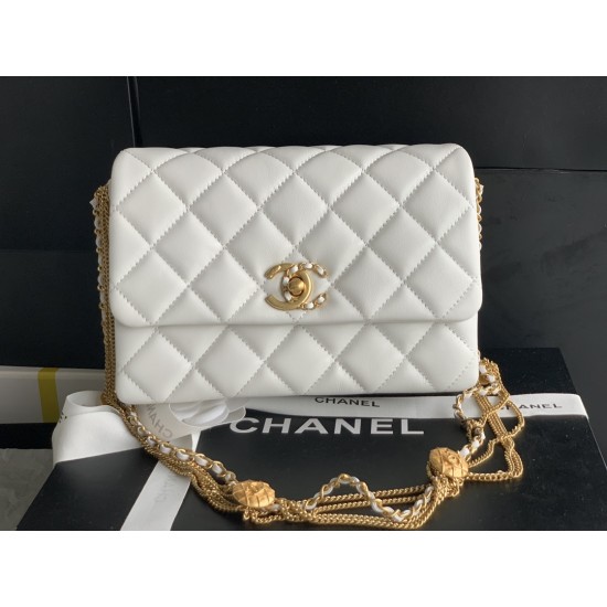 22A Gold Coin Chain Bag