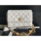 22A Gold Coin Chain Bag