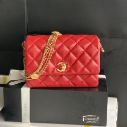 22A Gold Coin Chain Bag