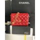 22A Gold Coin Chain Bag