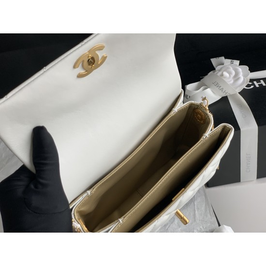 22A Gold Coin Chain Bag