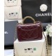  24B Mini Flap with Top Handle