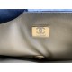 22A Gold Coin Chain Bag