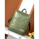 CISALPIN shoulder bag