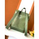 CISALPIN shoulder bag