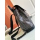 Goyard Alpin backpack size: 39x32x15.5cm