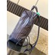 CISALPIN shoulder bag