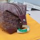 Goyard Boeing bag
