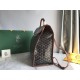 Goyard Saint Leger bag