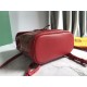 GoyardAlpin Mini Shoulder Bag