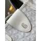 Anjou Mini Bag