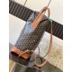 CISALPIN shoulder bag