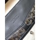 CISALPIN shoulder bag