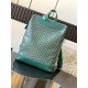CISALPIN shoulder bag