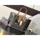GOYARDINE Canvas