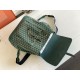 Goyard Alpin backpack size: 39x32x15.5cm
