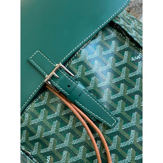 Goyard Alpin backpack size: 39x32x15.5cm