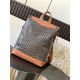 CISALPIN shoulder bag